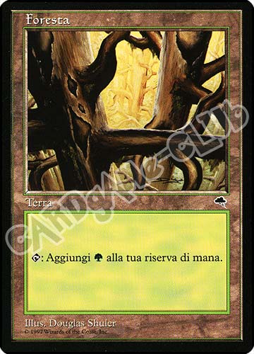 Foresta comune (IT) -NEAR MINT-