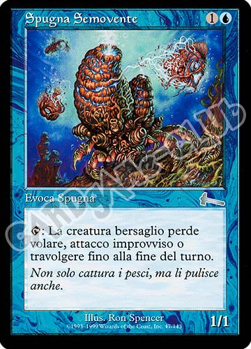 047 / 143 Spugna Semovente non comune (IT) -NEAR MINT-