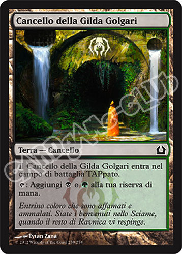 239 / 274 Cancello della Gilda Golgari comune (IT) -NEAR MINT-