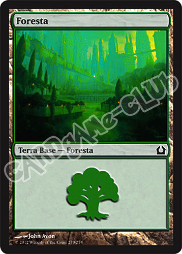 270 / 274 Foresta comune (IT) -NEAR MINT-