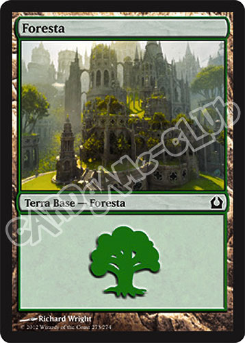 273 / 274 Foresta comune (IT) -NEAR MINT-