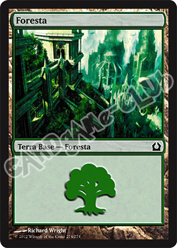 274 / 274 Foresta comune (IT) -NEAR MINT-