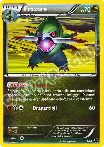 14 / 20 Fraxure rara foil (IT) -GOOD-