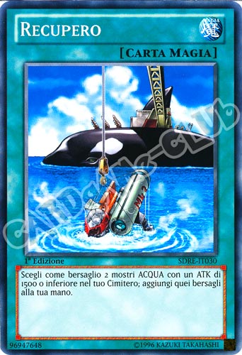 SDRE-IT030 Recupero comune 1a Edizione (IT) -GOOD-