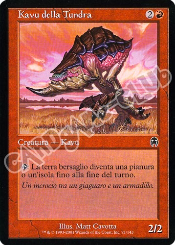 071 / 143 Kavu della Tundra comune (IT) -NEAR MINT-