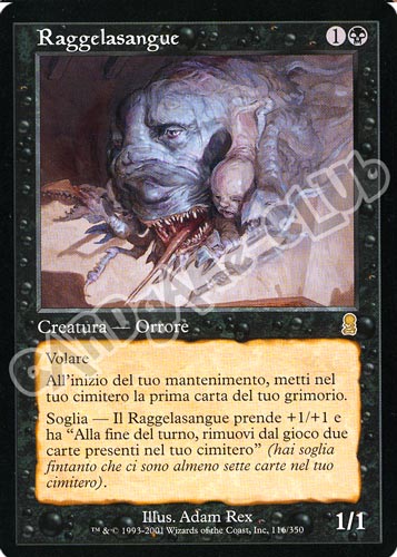 116 / 350 Raggelasangue rara (IT) -NEAR MINT-