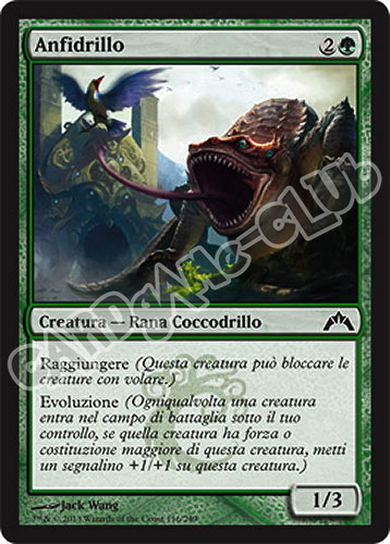 116 / 249 Anfidrillo comune (IT) -NEAR MINT-