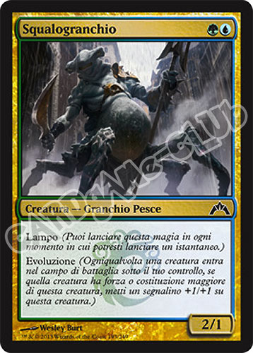 193 / 249 Squalogranchio comune (IT) -NEAR MINT-