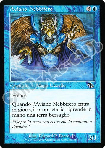 034 / 143 Aviano Nebbifero comune (IT) -NEAR MINT-