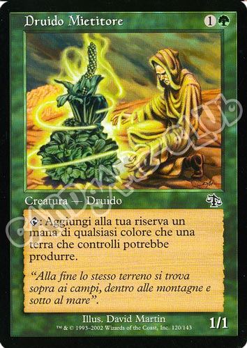 120 / 143 Druido Mietitore comune (IT) -NEAR MINT-