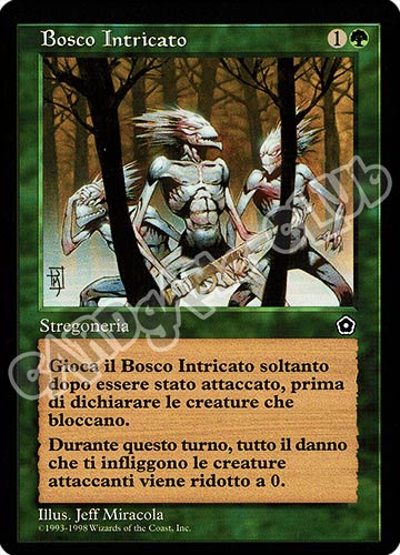 Bosco Intricato non comune (IT) -NEAR MINT-