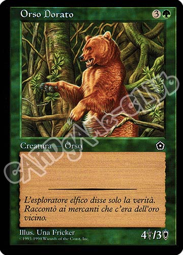 Orso Dorato comune (IT) -NEAR MINT-