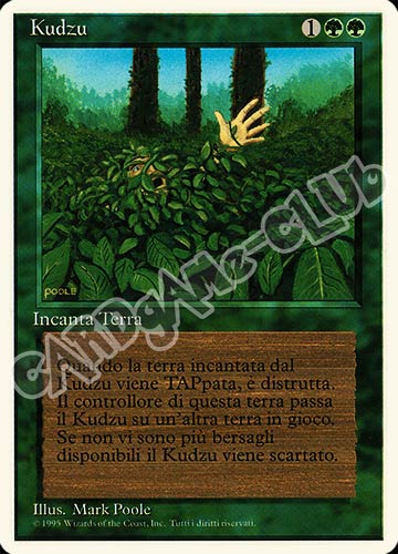 Kudzu rara (IT) -NEAR MINT-