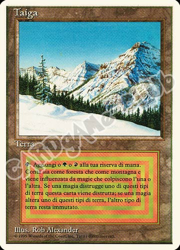 Taiga rara (IT) -NEAR MINT-