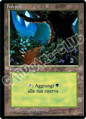 Foresta comune (IT) -NEAR MINT-