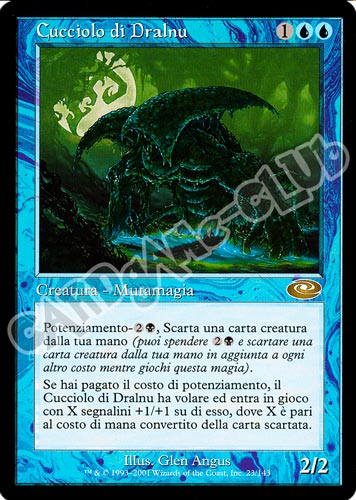 023 / 143 Cucciolo di Dralnu rara (IT) -NEAR MINT-