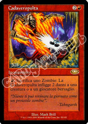 059 / 143 Cadaveropulta rara (IT) -NEAR MINT-