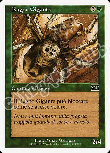 234 / 350 Ragno Gigante comune (IT) -NEAR MINT-