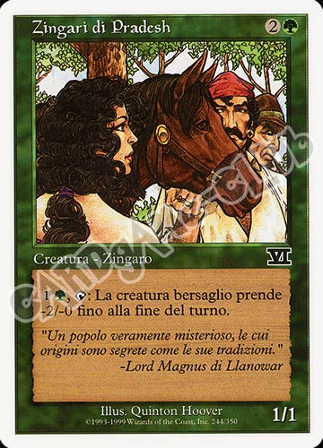 244 / 350 Zingari di Pradesh comune (IT) -NEAR MINT-