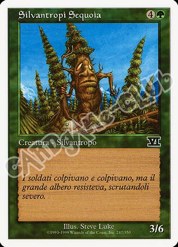 247 / 350 Silvantropi Sequoia comune (IT) -NEAR MINT-