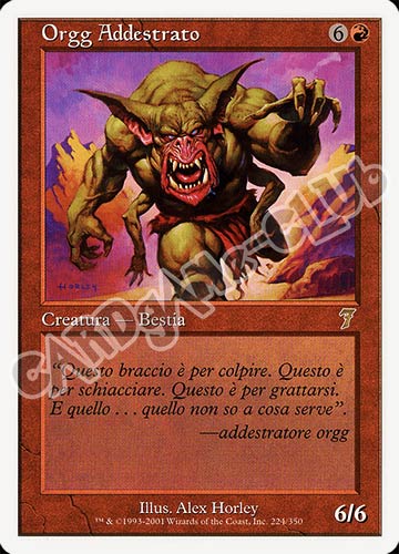 224 / 350 Orgg Addestrato rara (IT) -NEAR MINT-