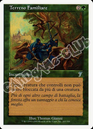 243 / 350 Terreno Familiare non comune (IT) -NEAR MINT-