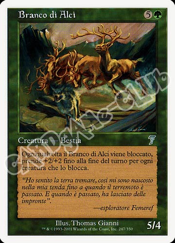 247 / 350 Branco di Alci non comune (IT) -NEAR MINT-