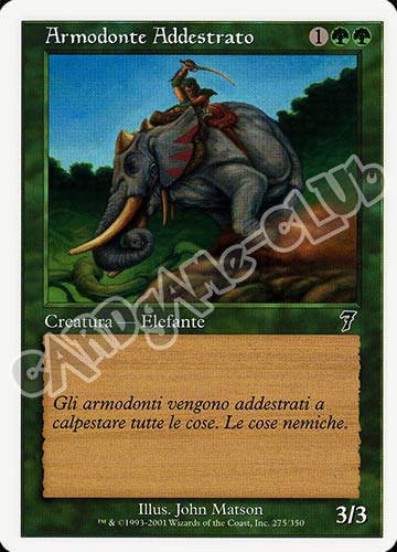 275 / 350 Armodonte Addestrato comune (IT) -NEAR MINT-