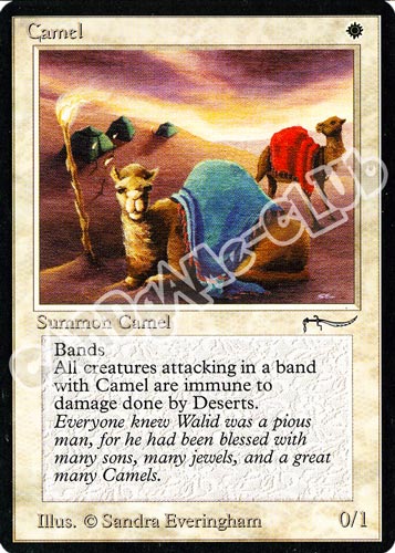 Camel comune (EN) -NEAR MINT-