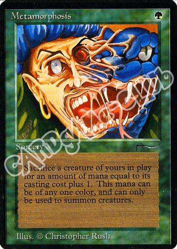Metamorphosis comune (EN) -NEAR MINT-