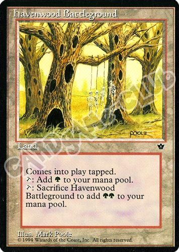 Havenwood Battleground non comune (EN) -NEAR MINT-