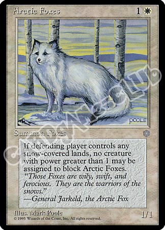 Arctic Foxes comune (EN) -NEAR MINT-