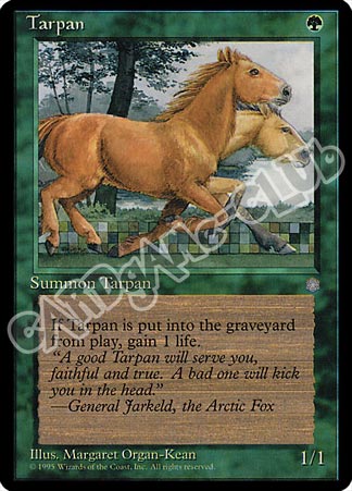 Tarpan comune (EN) -NEAR MINT-