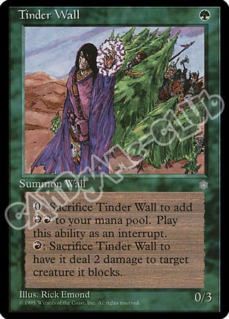 Tinder Wall comune (EN) -NEAR MINT-