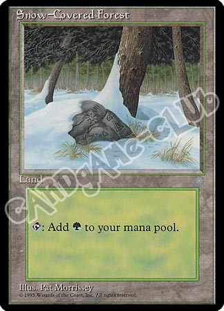Snow-Covered Forest comune (EN) -NEAR MINT-