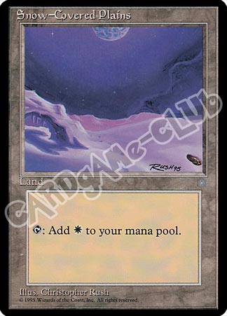 Snow-Covered Plains comune (EN) -NEAR MINT-