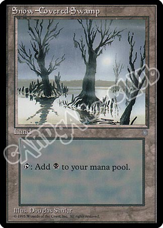 Snow-Covered Swamp comune (EN) -NEAR MINT-
