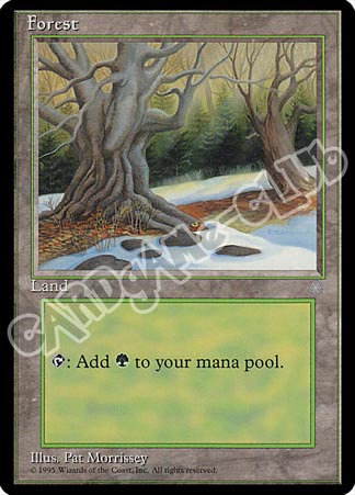 Forest comune (EN) -NEAR MINT-
