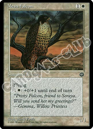 Mesa Falcon comune (EN) -NEAR MINT-