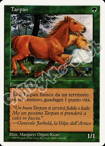 Tarpan comune (IT) -NEAR MINT-