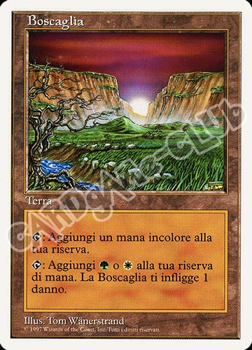 Boscaglia rara (IT) -NEAR MINT-