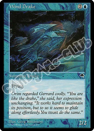 Wind Drake comune (EN) -NEAR MINT-