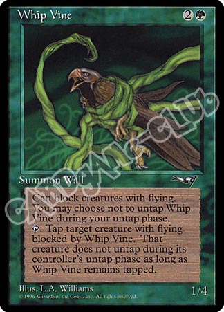 Whip Vine comune (EN) -NEAR MINT-