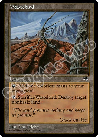 Wasteland non comune (EN) -NEAR MINT-