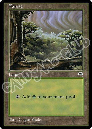Forest comune (EN) -NEAR MINT-