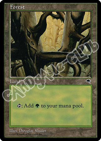Forest comune (EN) -NEAR MINT-