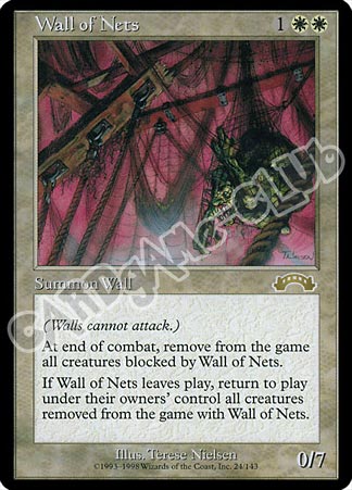 024 / 143 Wall of Nets rara (EN) -NEAR MINT-