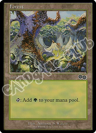 348 / 350 Forest comune (EN) -NEAR MINT-