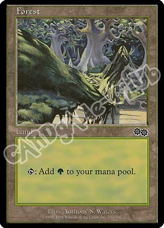 350 / 350 Forest comune (EN) -NEAR MINT-