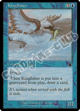 036 / 143 Kingfisher comune (EN) -NEAR MINT-